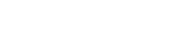 E-vendi Logo